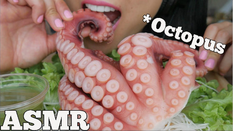 SAS ASMR_吃生章鱼~~